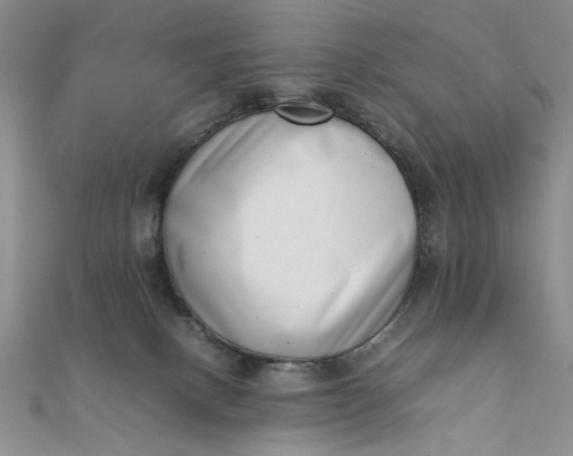 X0000111660082200907311147