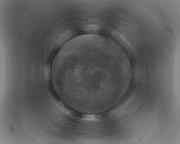 X0000111660083200907311147