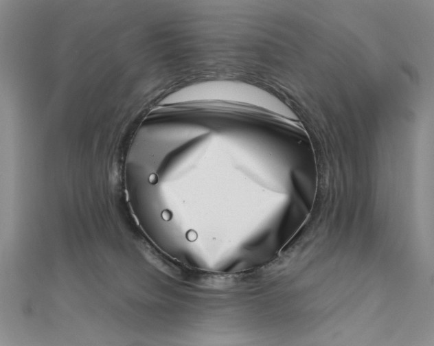 X0000111660084200907311147