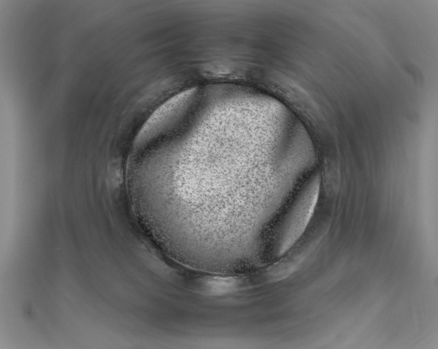 X0000111660085200907311147