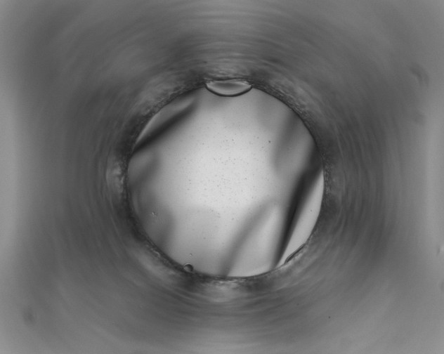 X0000111660086200907311147