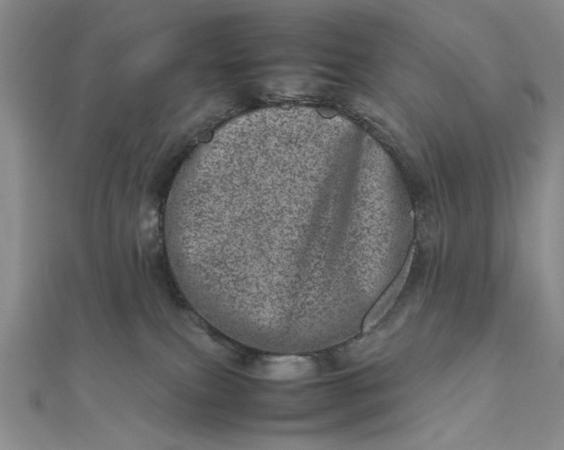 X0000111660087200907311147