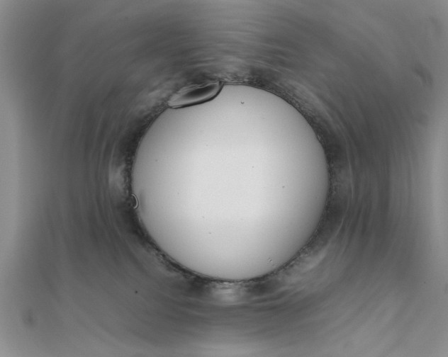 X0000111660088200907311147