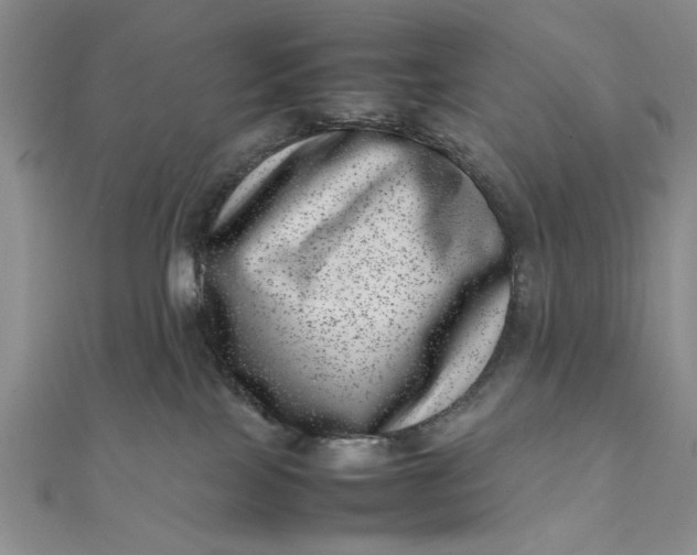 X0000111660089200907311147