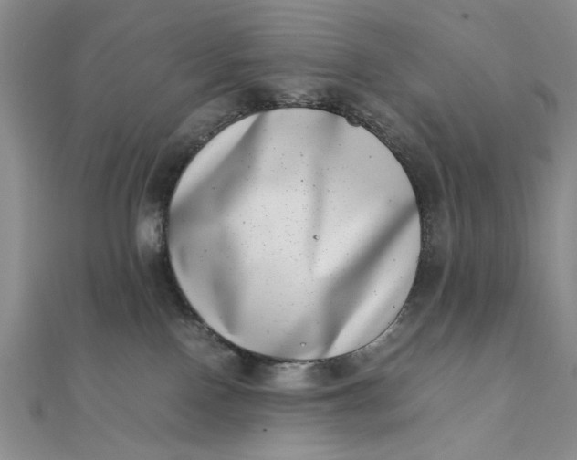 X0000111660090200907311147