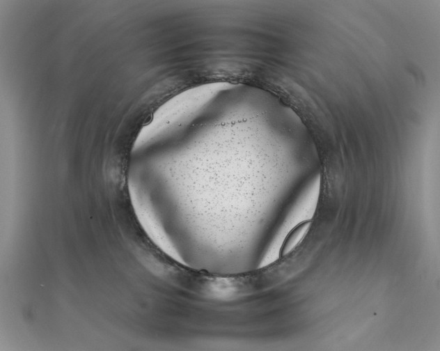 X0000111660091200907311147