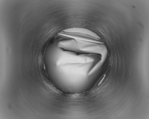 X0000111660092200907311147