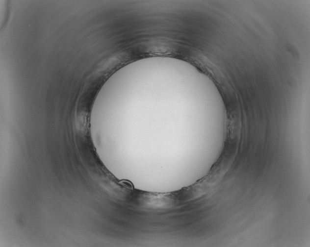 X0000111660093200907311147