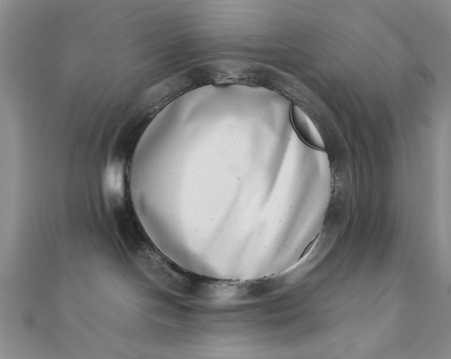 X0000111660094200907311147