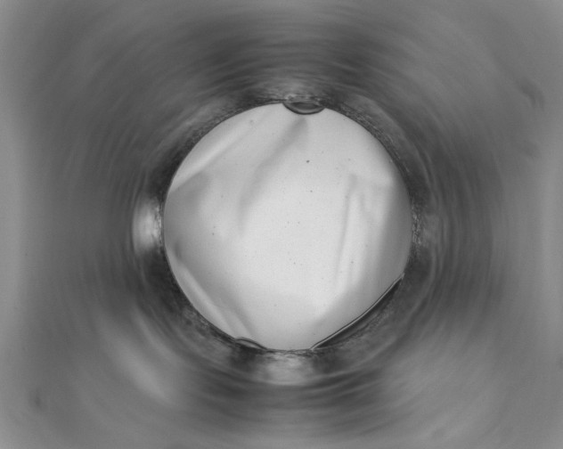 X0000111660095200907311147