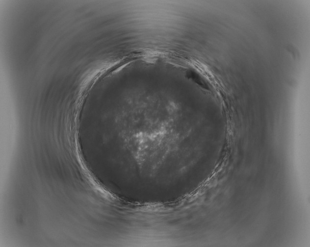 X0000111660097200907311146