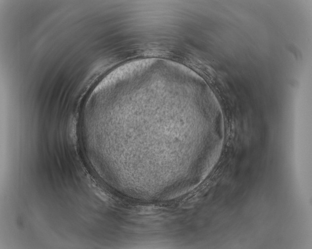 X0000111660098200907311146