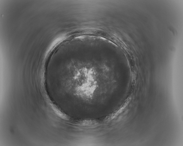 X0000111660101200907311146