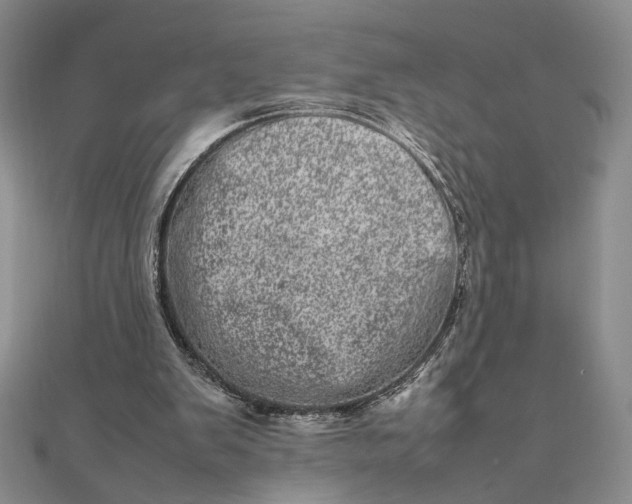 X0000111660103200907311146