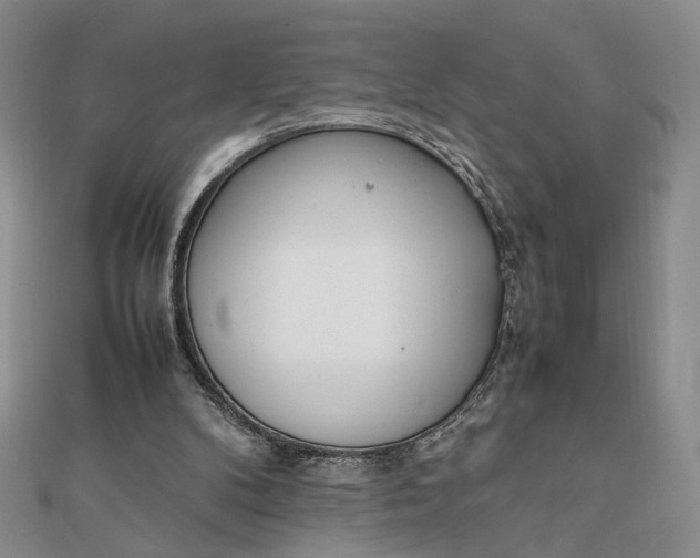 X0000111660104200907311146