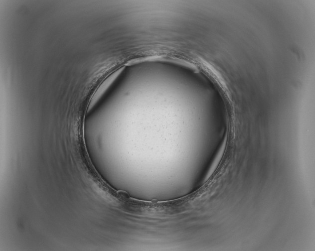 X0000111660105200907311146