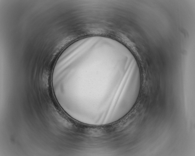 X0000111660106200907311146