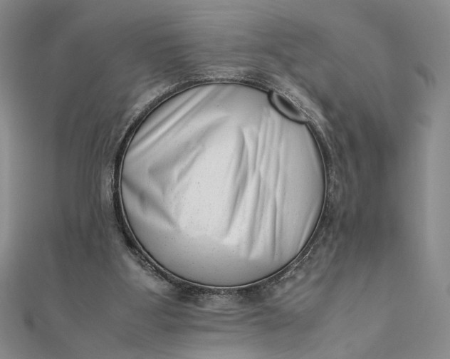 X0000111660107200907311146