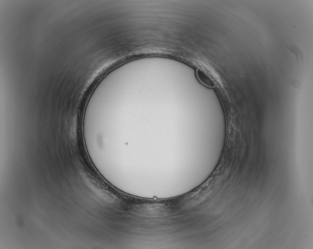 X0000111660108200907311146