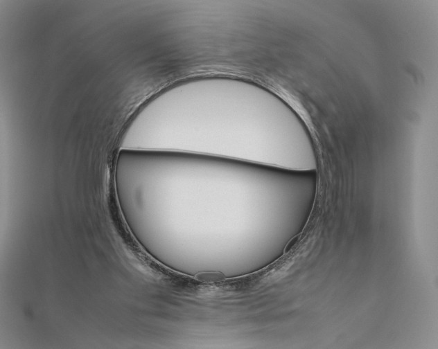 X0000111660109200907311146