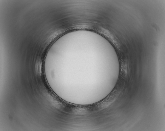 X0000111660110200907311146