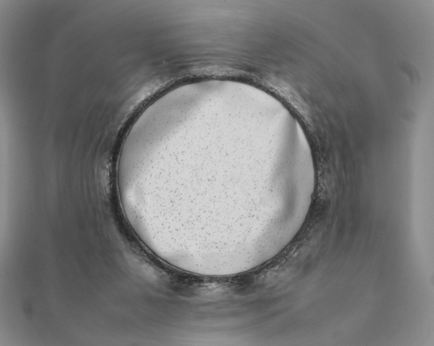 X0000111660111200907311146