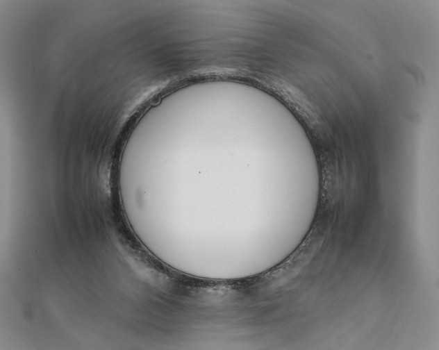 X0000111660112200907311146