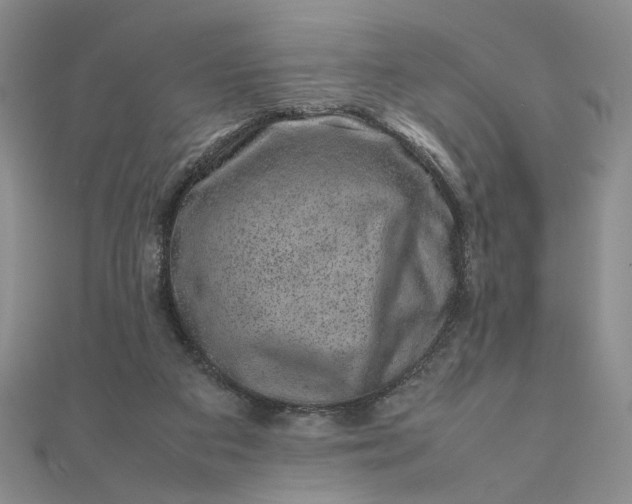 X0000111660113200907311146