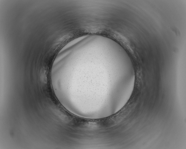 X0000111660114200907311146