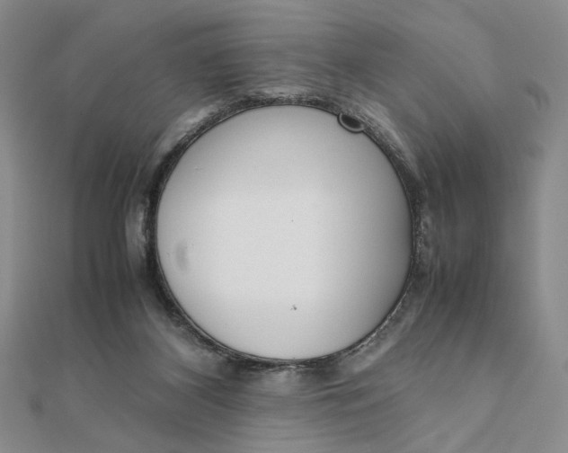 X0000111660116200907311146