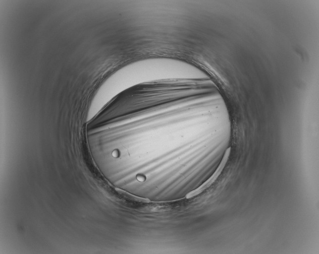 X0000111660117200907311146