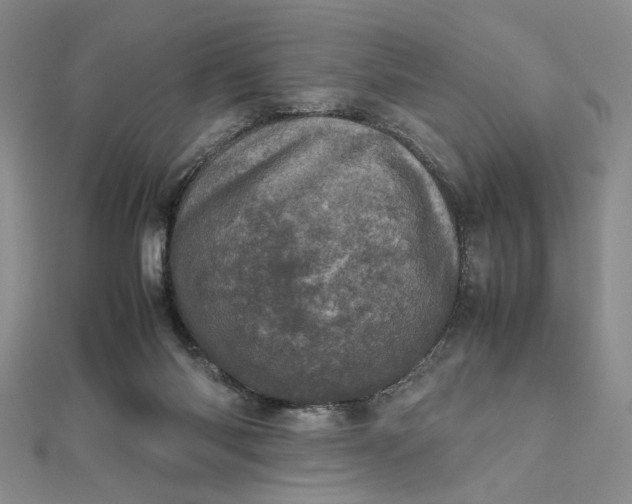 X0000111660118200907311146