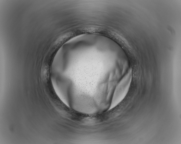 X0000111660119200907311146