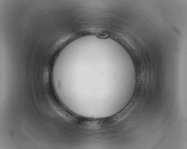 X0000111660120200907311146