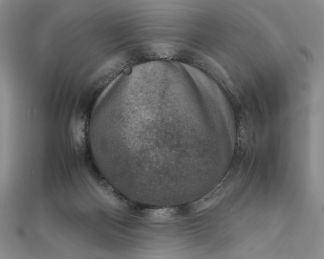 X0000111660122200907311146