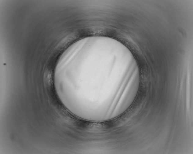 X0000111660123200907311146