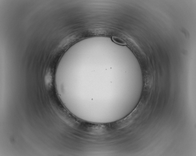 X0000111660124200907311146