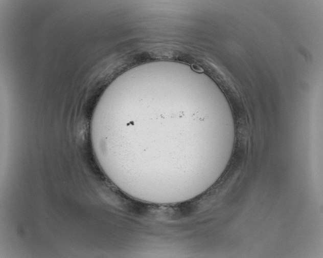 X0000111660125200907311146