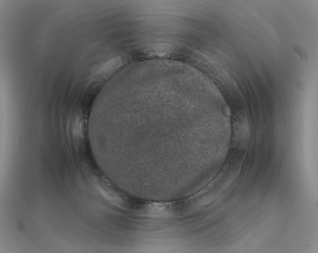 X0000111660126200907311146