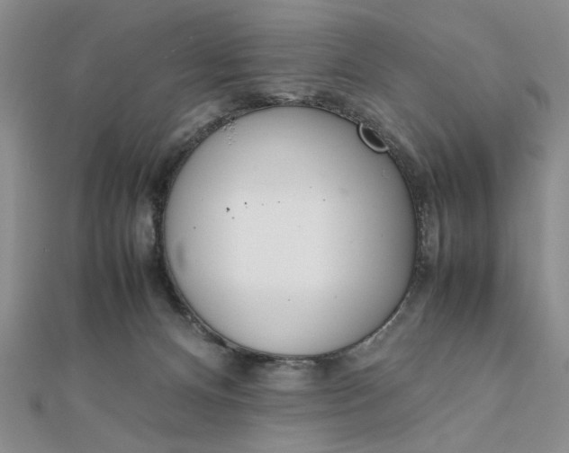 X0000111660128200907311146