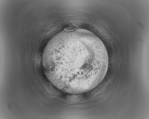 X0000111660129200907311146