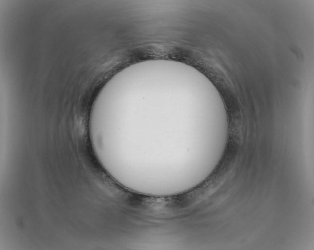 X0000111660131200907311146