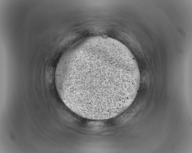 X0000111660133200907311146