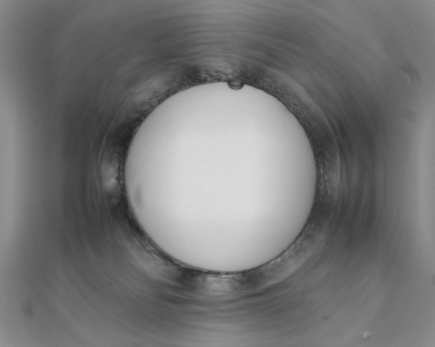 X0000111660134200907311146