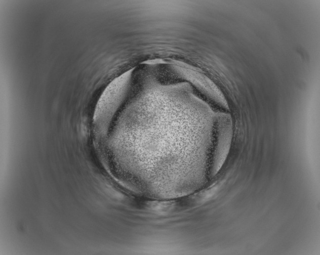 X0000111660135200907311146