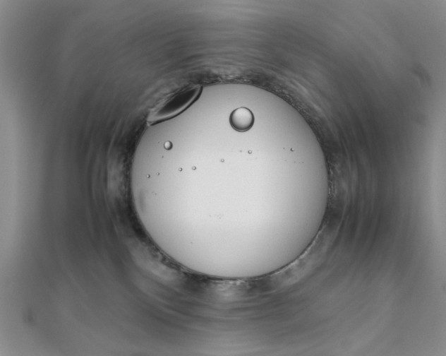 X0000111660136200907311146