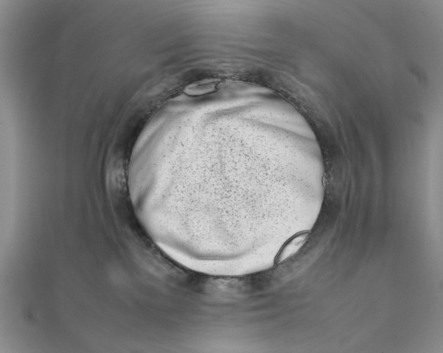 X0000111660137200907311146