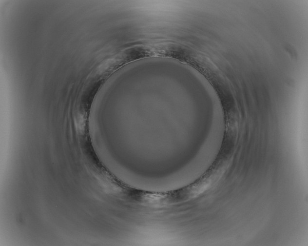 X0000111660139200907311146