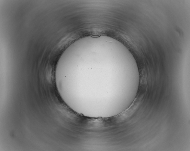 X0000111660140200907311146