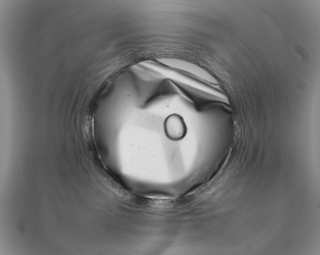 X0000111660141200907311146